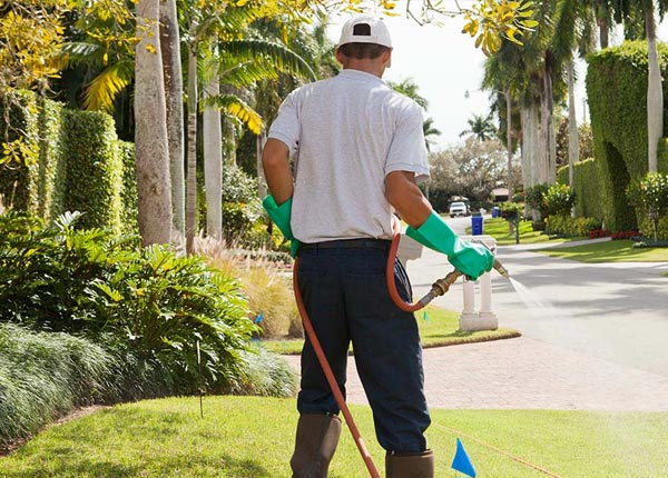 About Menasha WI Pest Control Pros